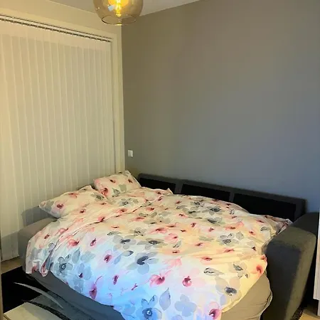 Scandpoint In Out Year In Snooslo With Free Parking *